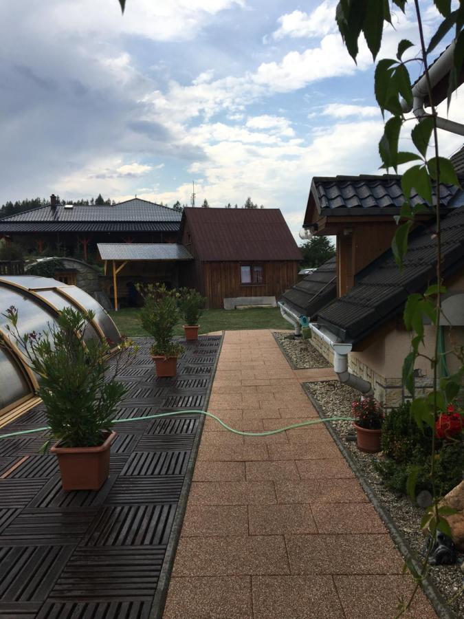 Vila V Jesenikach Bridlicna Exteriör bild